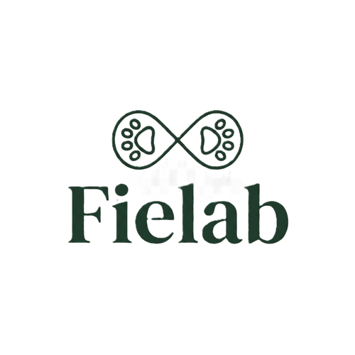 FieLab